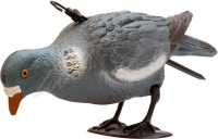 Подсадной голубь Birdland кормящийся Подсадной голубь Birdland кормящийся